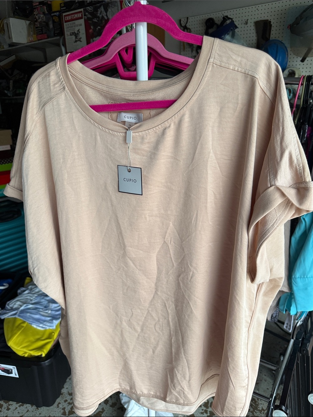 Cupio Short Sleeve Crewneck Top in Light Blush